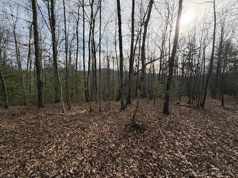 Acreage, Mineral Bluff, GA