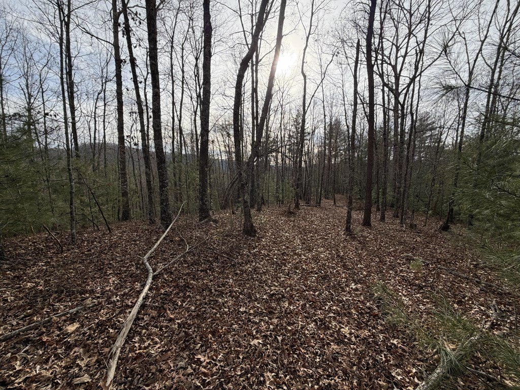 Picture 3