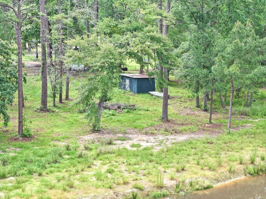 Picture 5