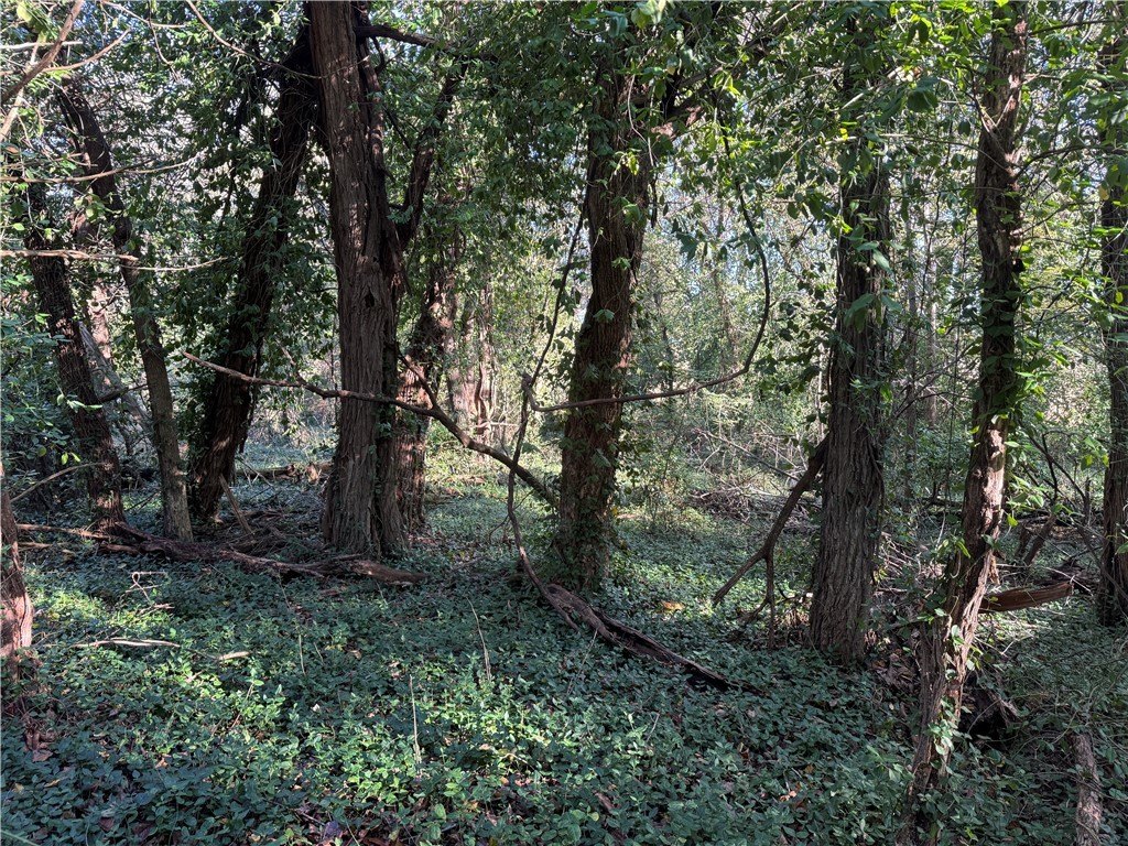 Picture 8