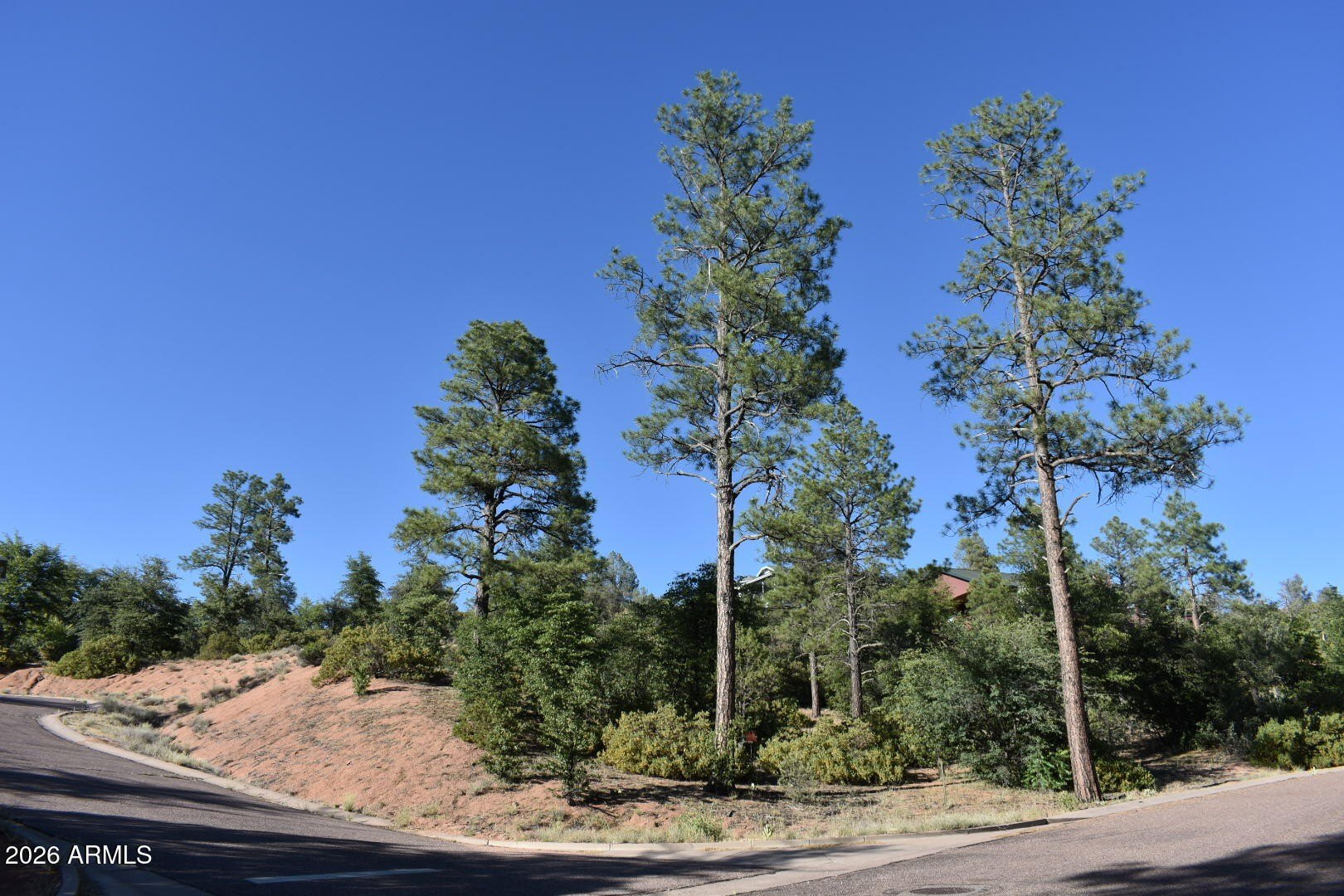 Premier Homesite in Pine Ridge