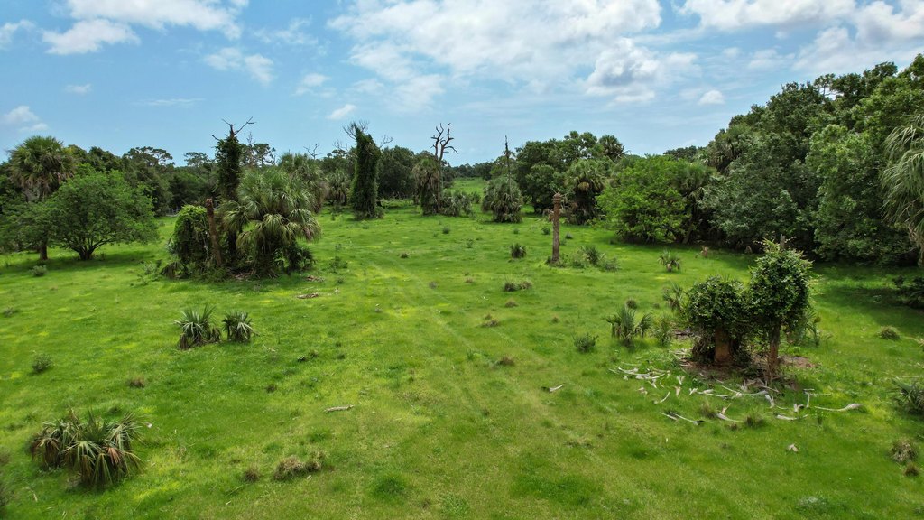 Picture 25