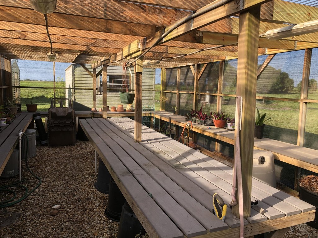 Picture 30