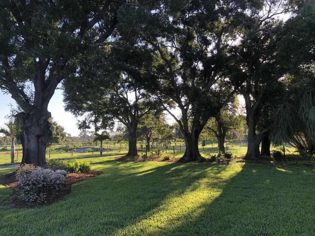 Picture 23