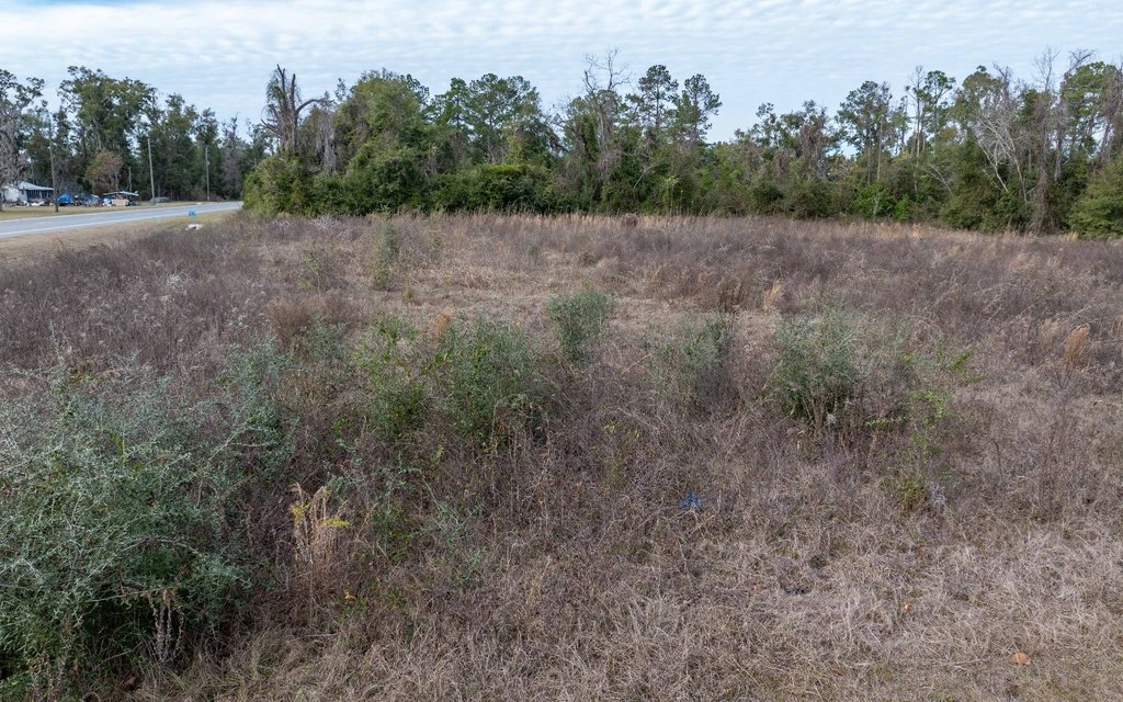 Picture 10