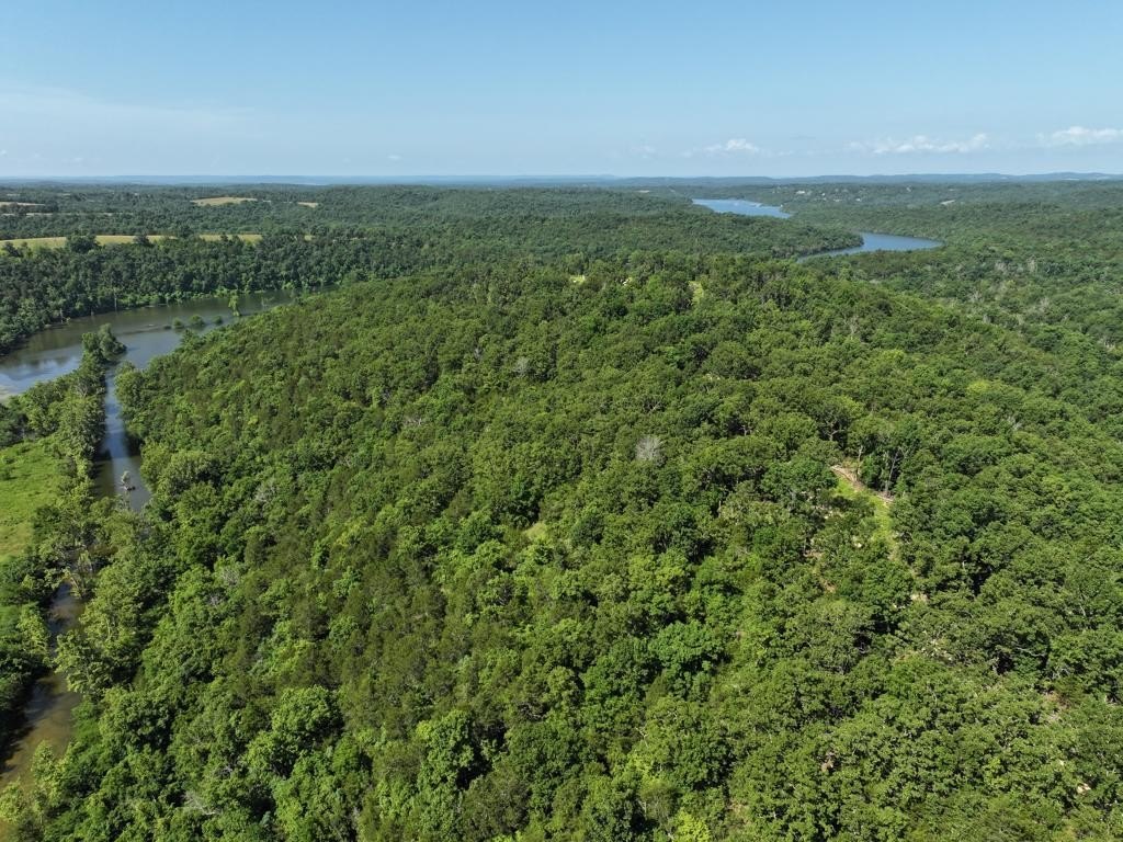 40 Acres Near Bull Shoals