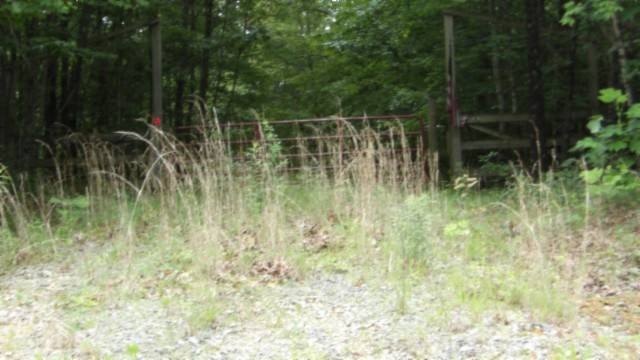 Picture 22