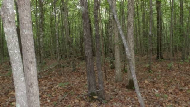Picture 14