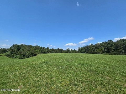 Lots & Acreage, Robbins, TN