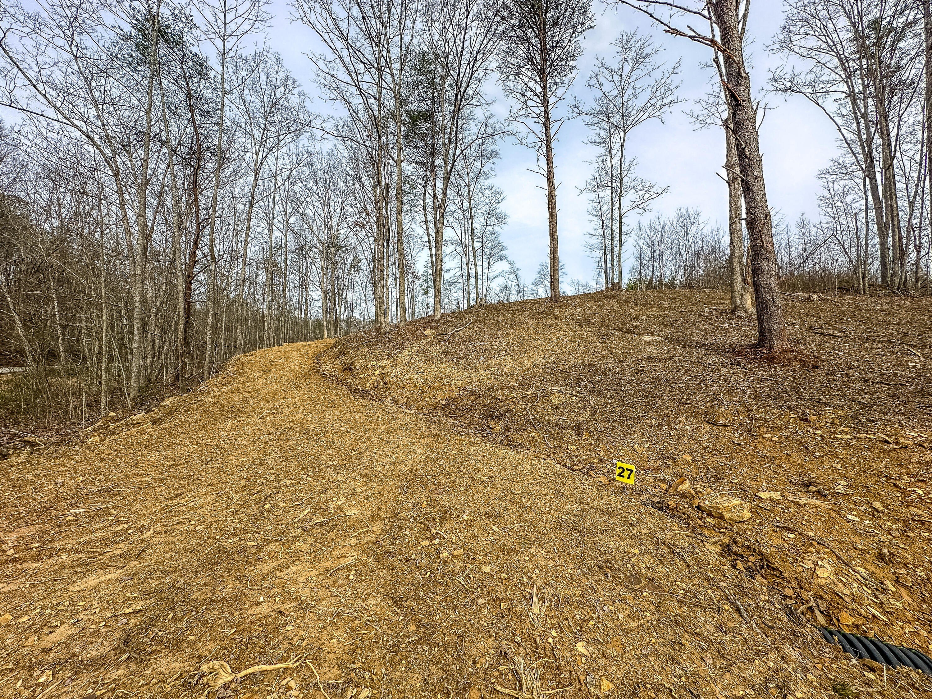 East Bernstadt Land For Sale