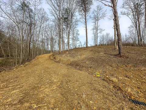 Land, East Bernstadt, KY