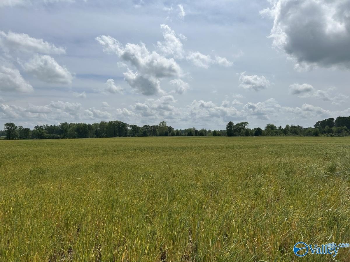 28 Acres Farmland in Lexington