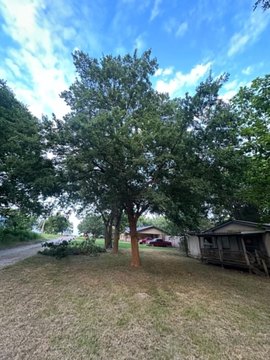 LAND - Celeste, TX