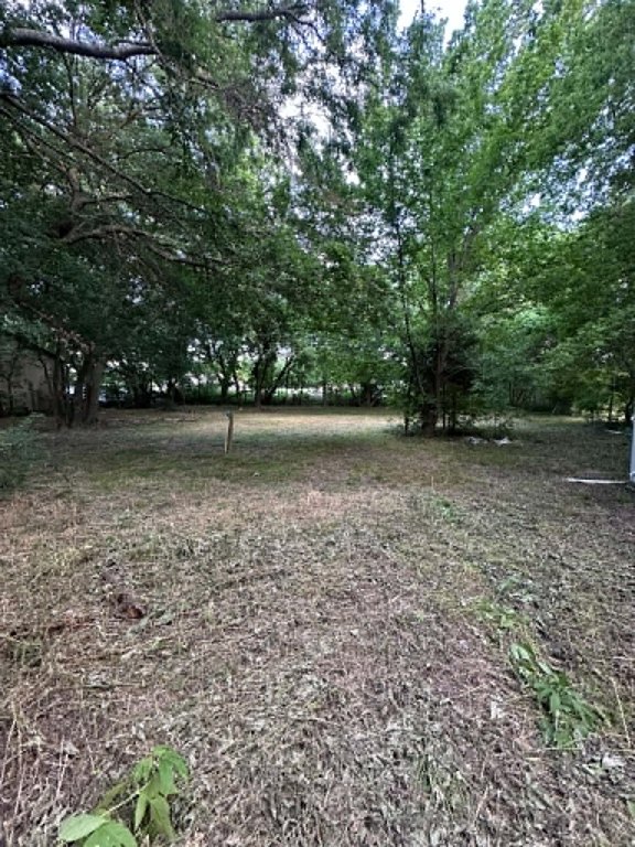 Picture 9