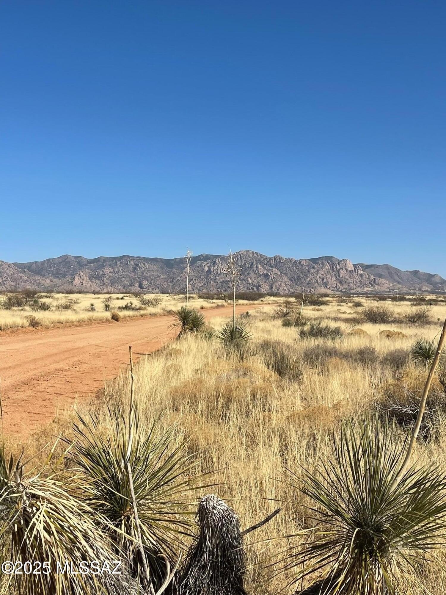 36 Acres Rolling Land Parcel