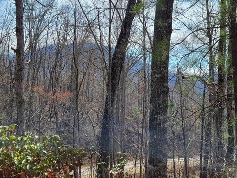 Hayesville, NC Vacant Lot