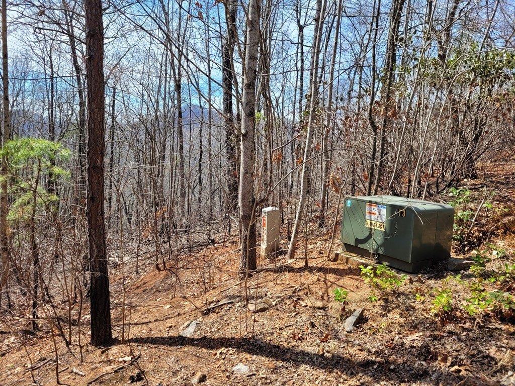 Picture 17
