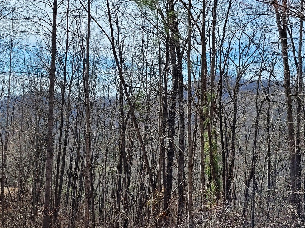 Picture 18