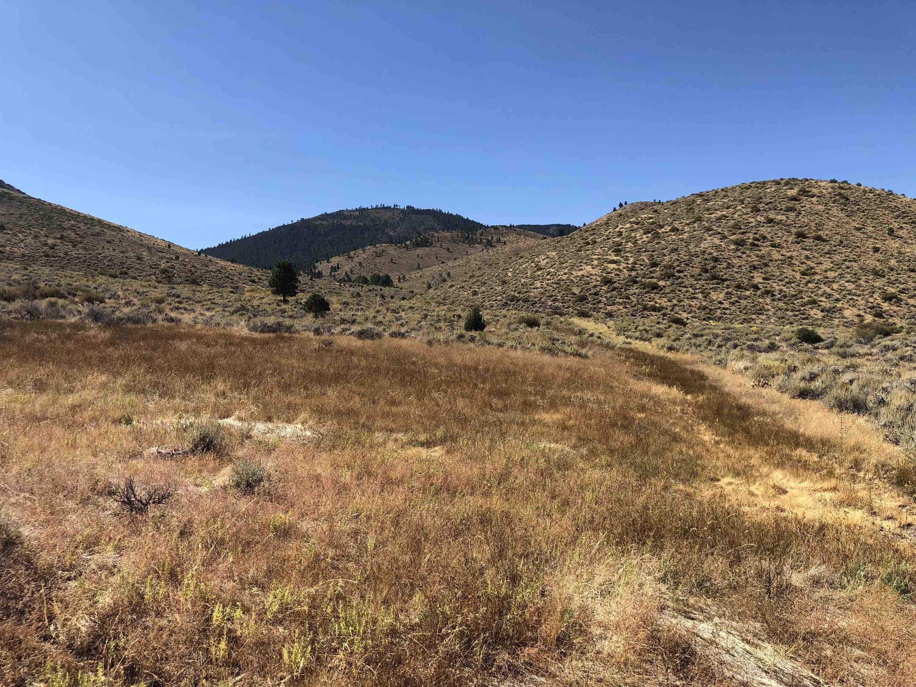 80 Acres of Prime Land