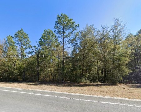 LAND - Williston, FL