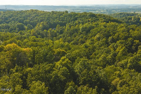 Land, Bulls Gap, TN
