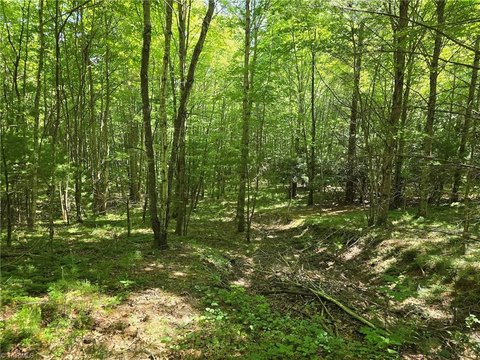 LAND - West Jefferson, NC