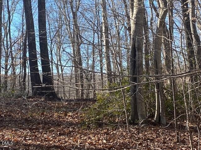 Waterfront Land in Bullock, NC