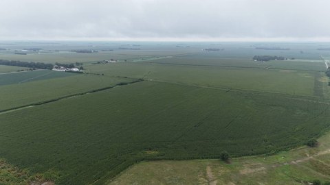 Irrigated Agricultural Land