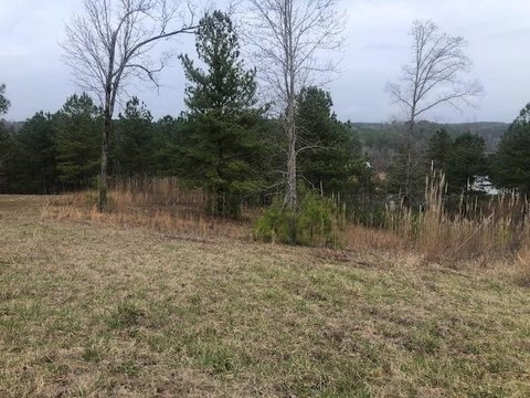 Land with Clear Creek Views