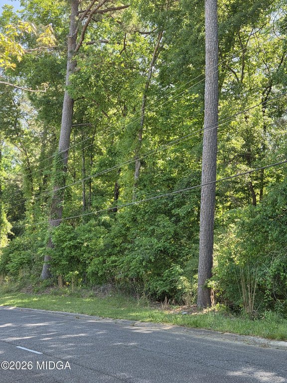 Picture 3