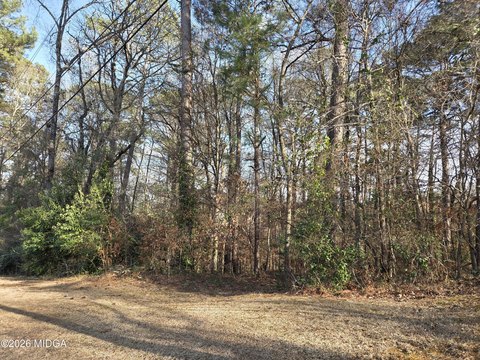 Residential Land in Macon, GA
