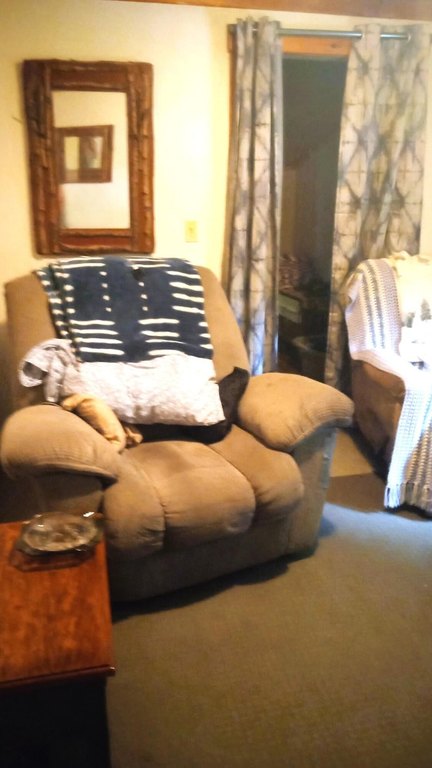 Picture 23