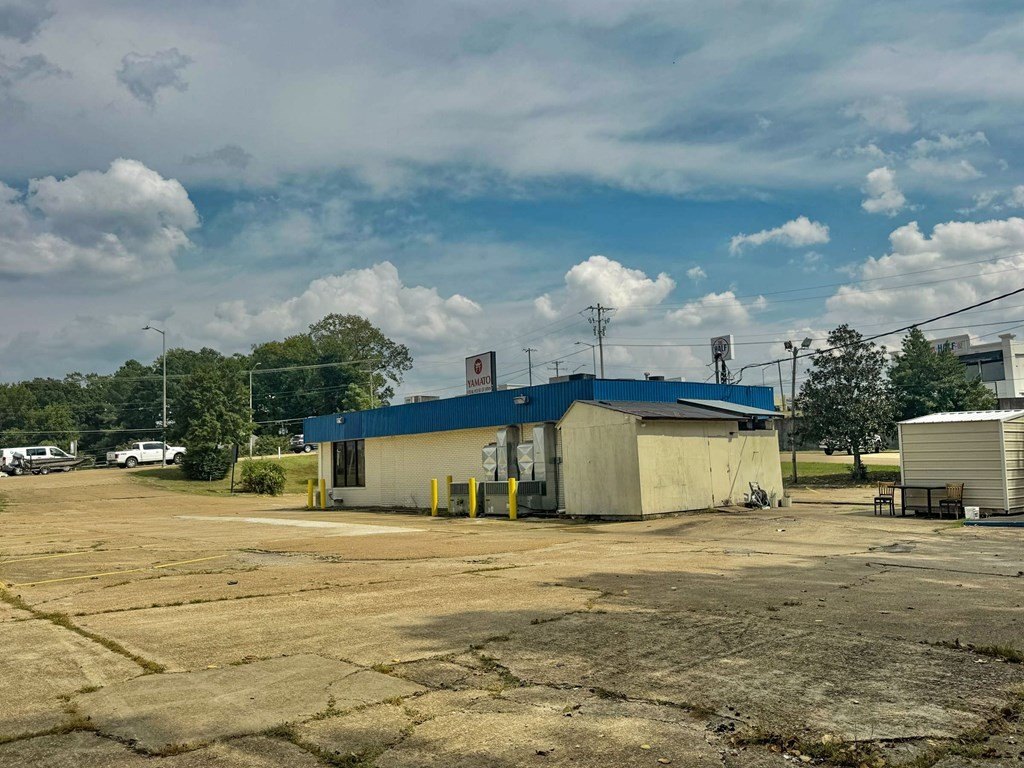 Picture 44