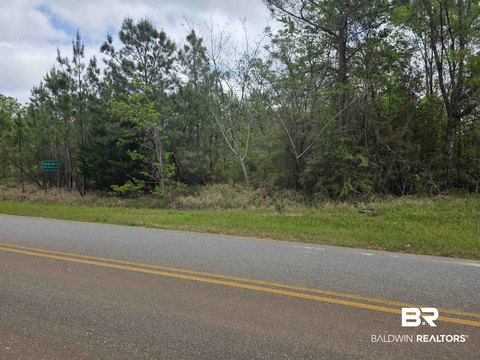 Land in Bay Minette, AL