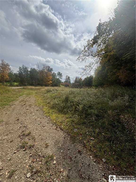 Picture 43