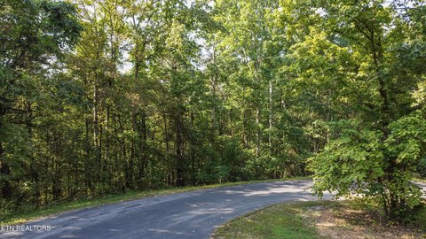 Wooded Lot in Tellico Village