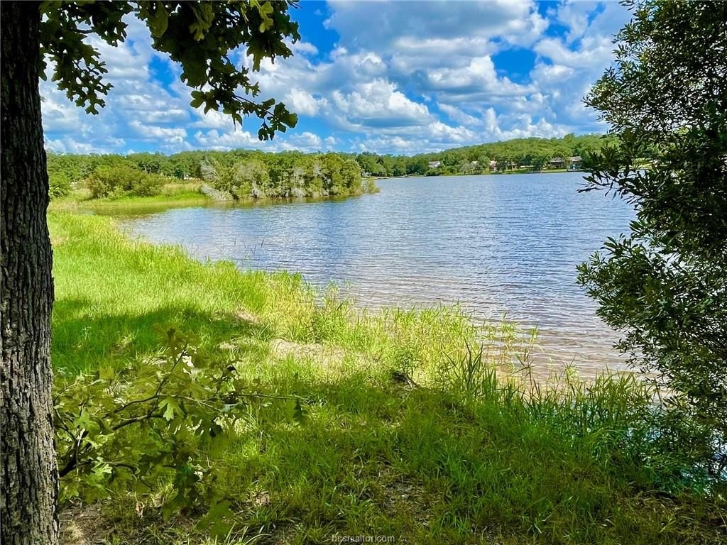 Picture 21