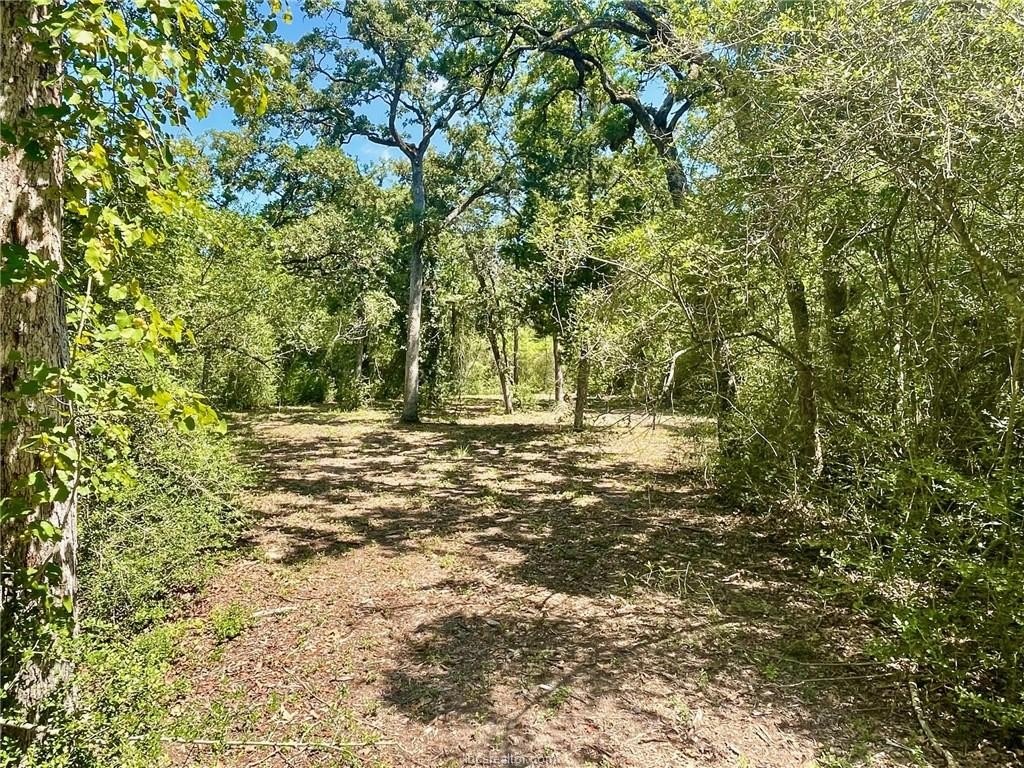Picture 8