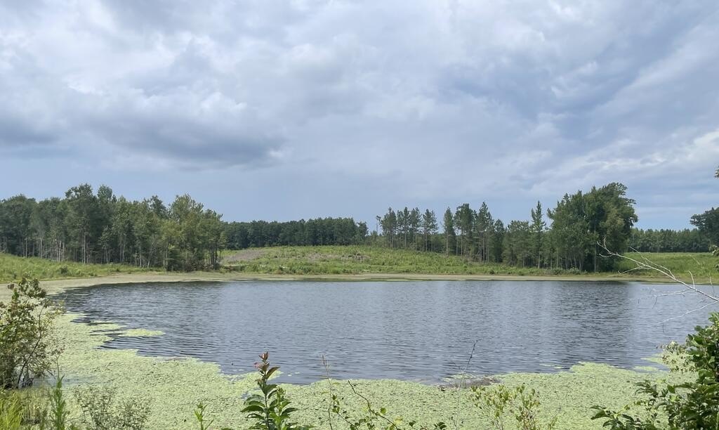 Picture 23