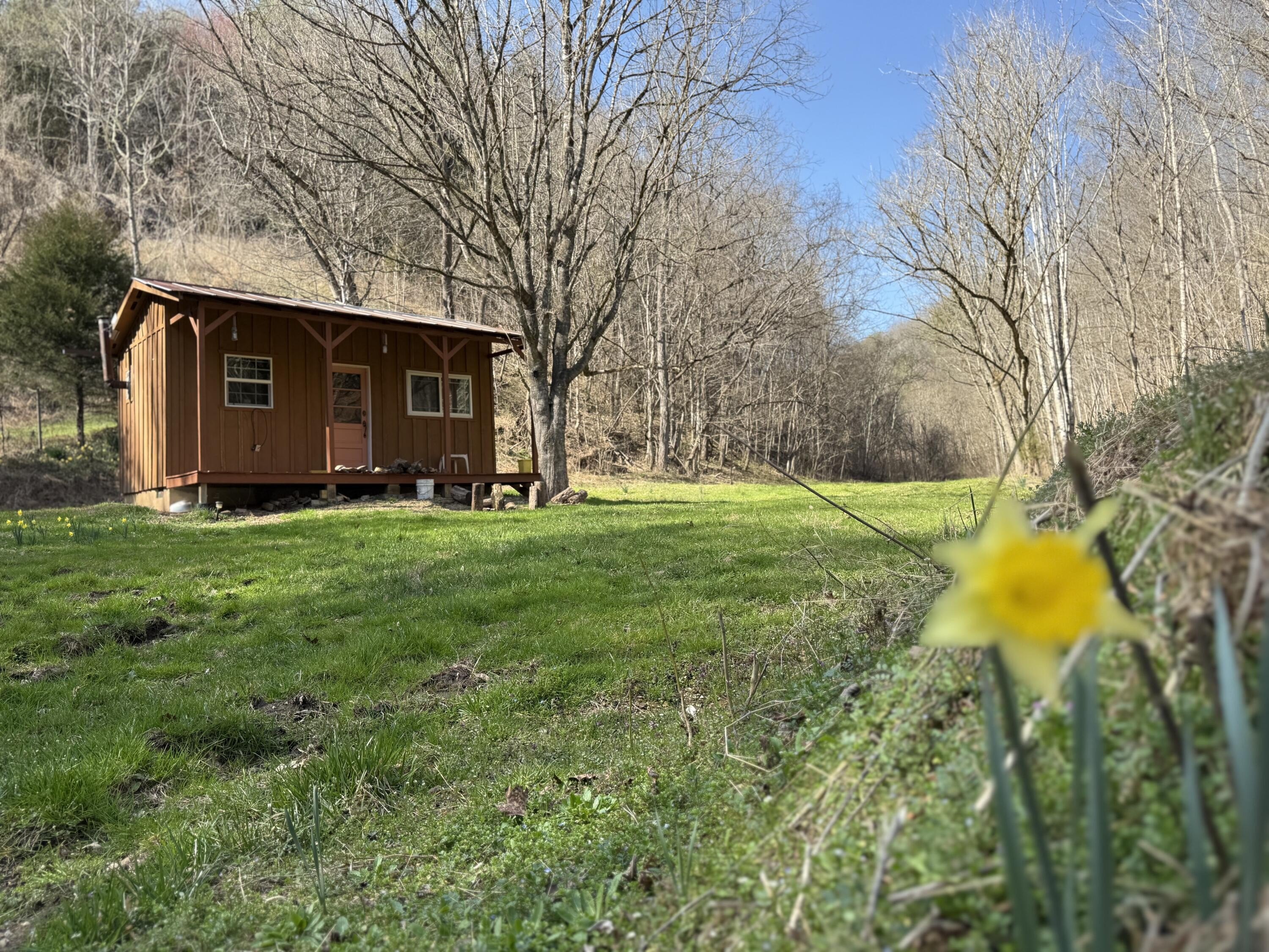 Tennessee Land with Natural Springs