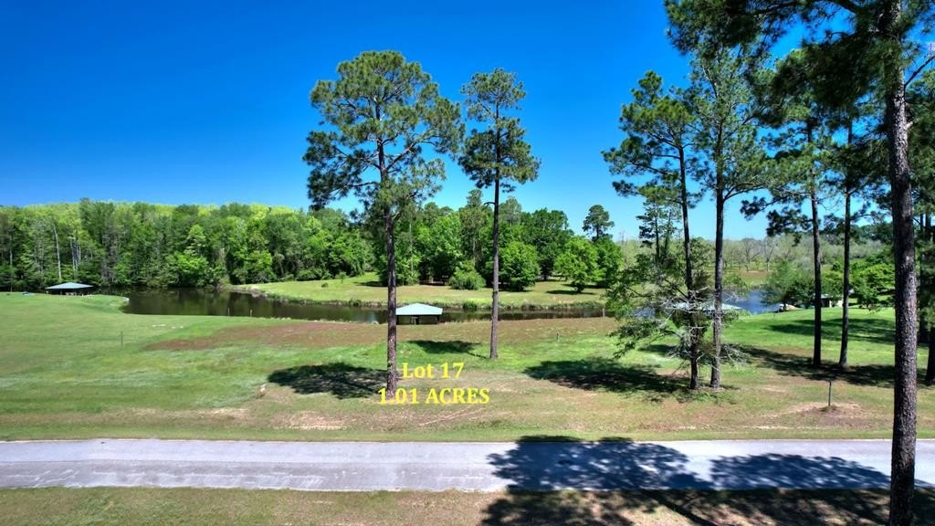 Cordele, GA Land For Sale