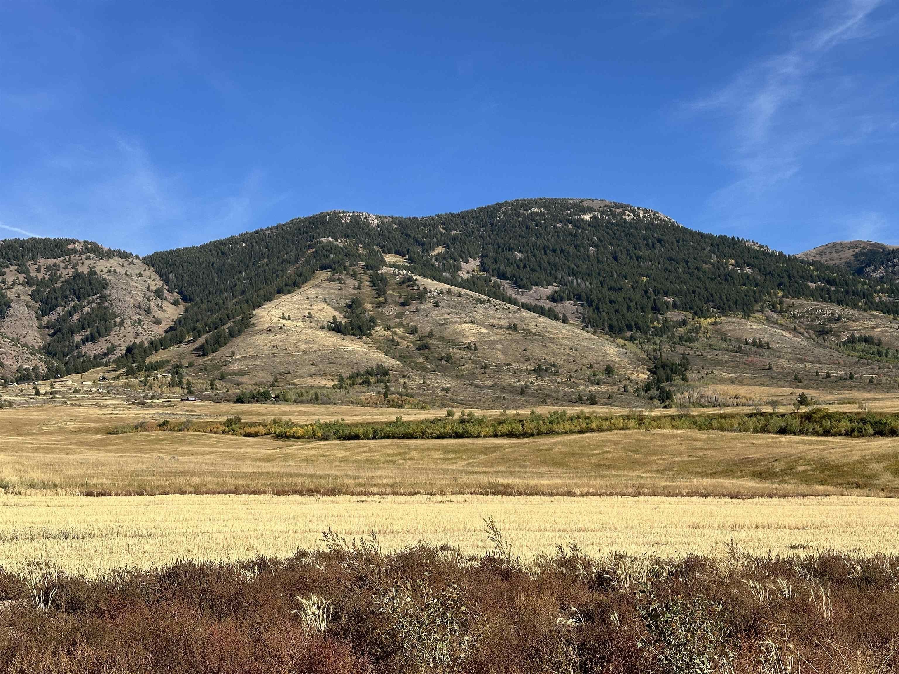 Inkom, ID View Lot