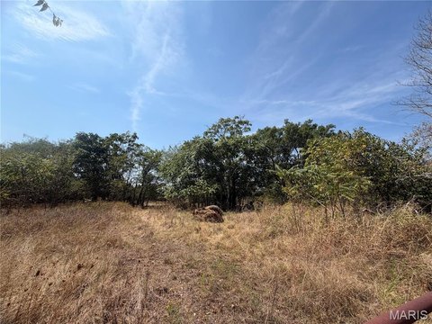 Land, Lebanon, MO