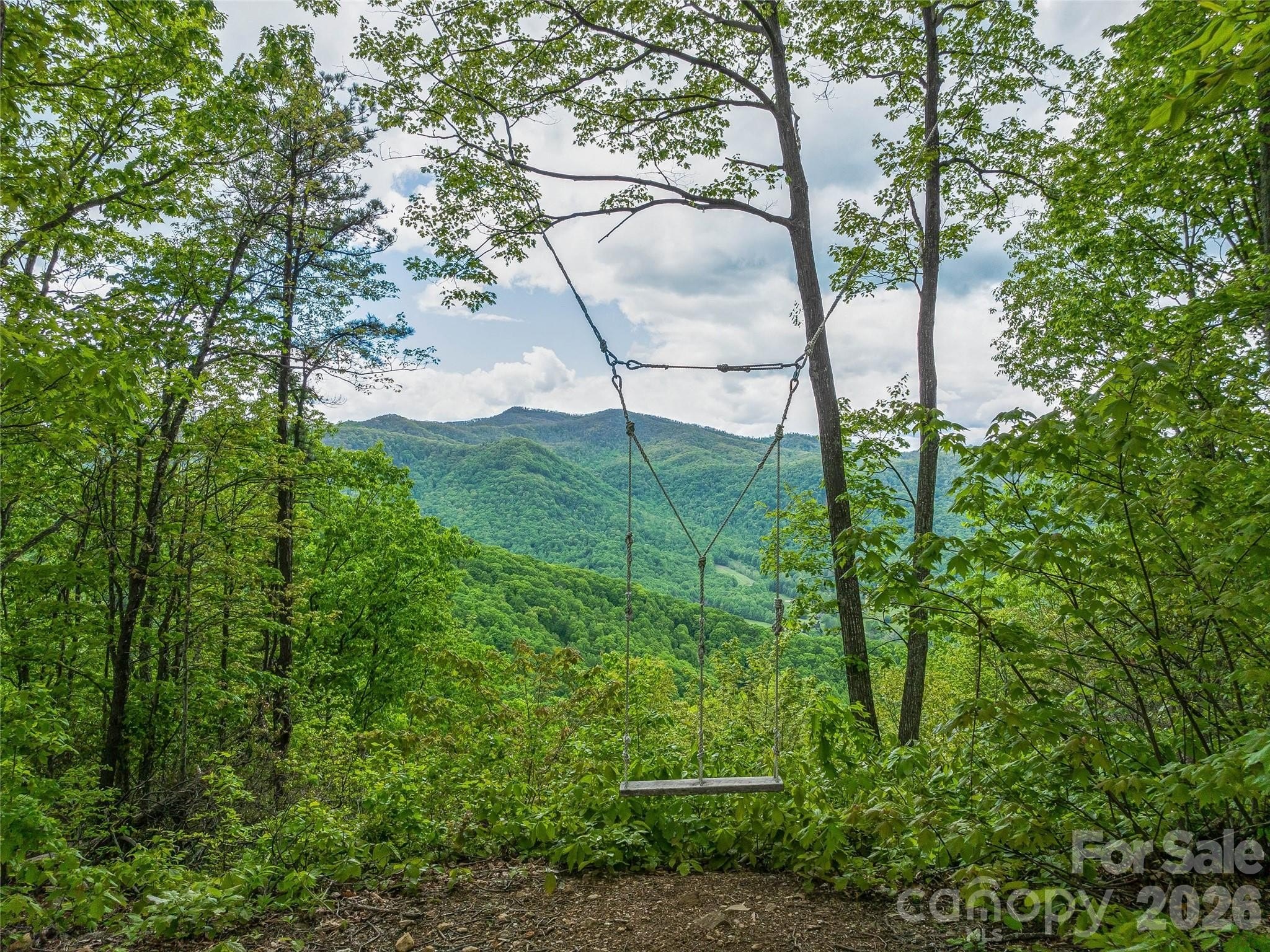 Pisgah Highlands Acreage Opportunity