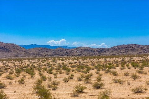 Joshua Tree Land Opportunity