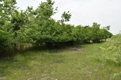 Fenced Equestrian Acreage Land