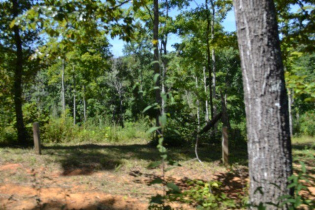 Picture 23