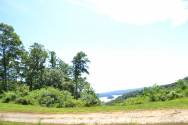 Picture 45