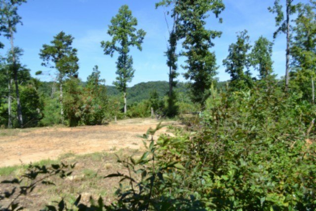 Picture 6