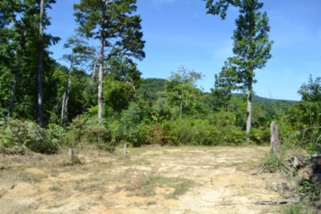 Picture 14